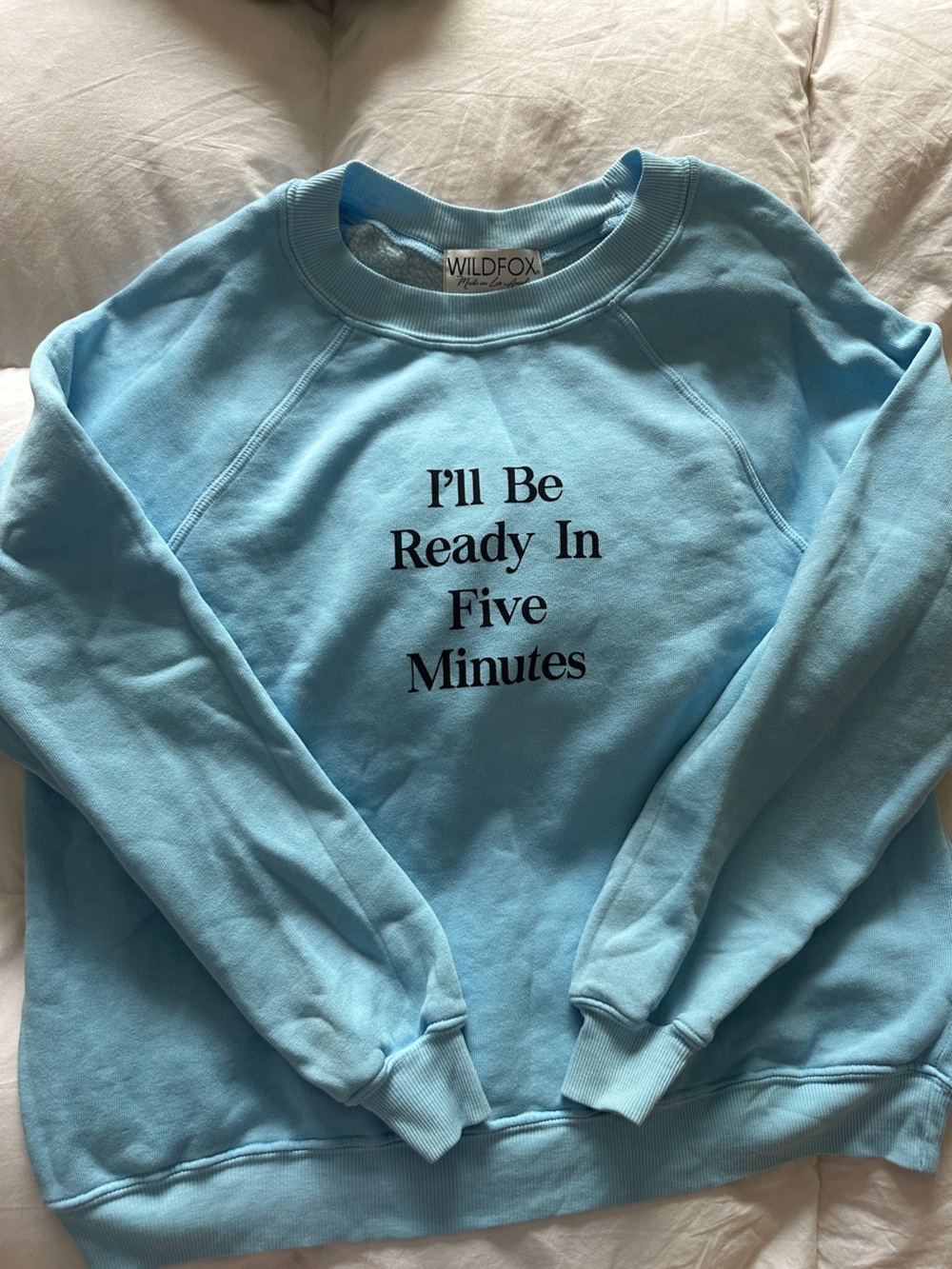 WILDFOX ready in 5 sweatshirt